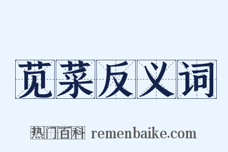 苋菜反义词是什么意思的图片